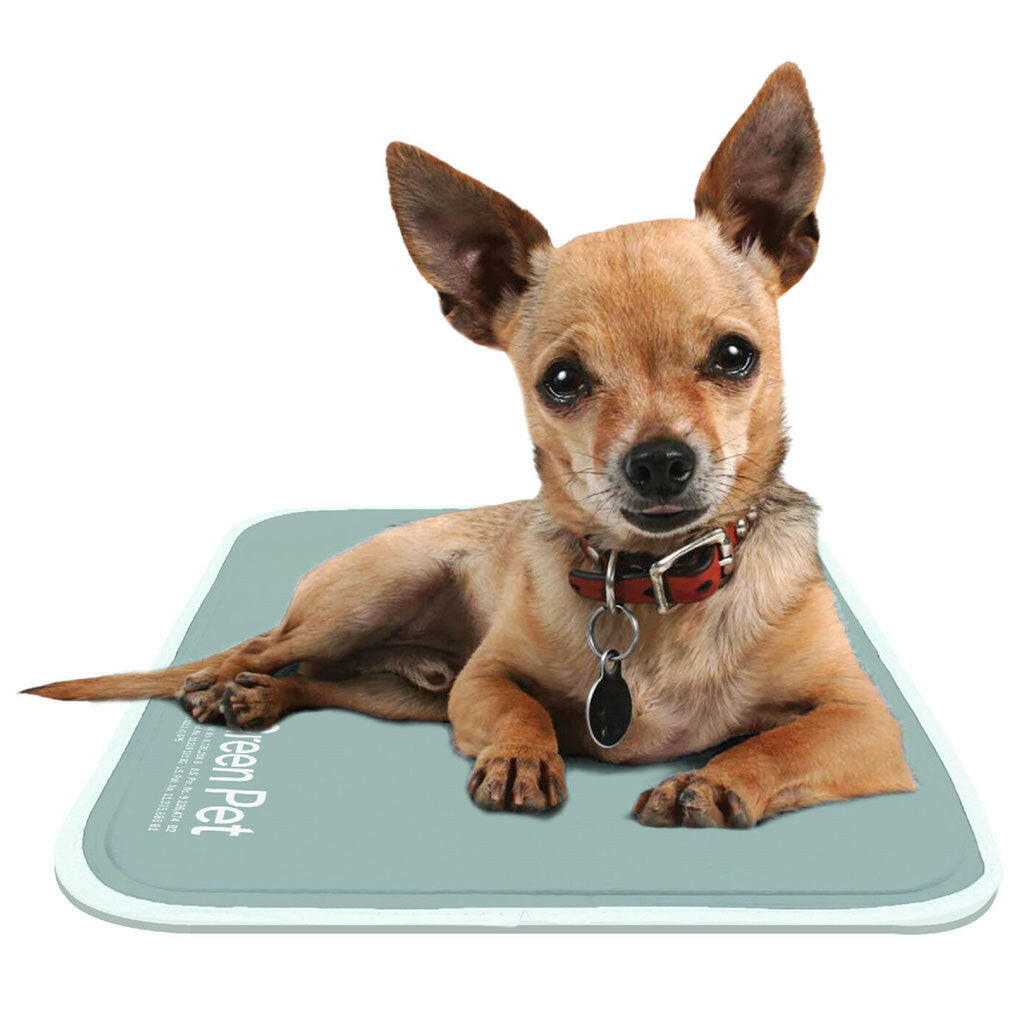 Green Pet Cool Pet Pad gray xsm dog