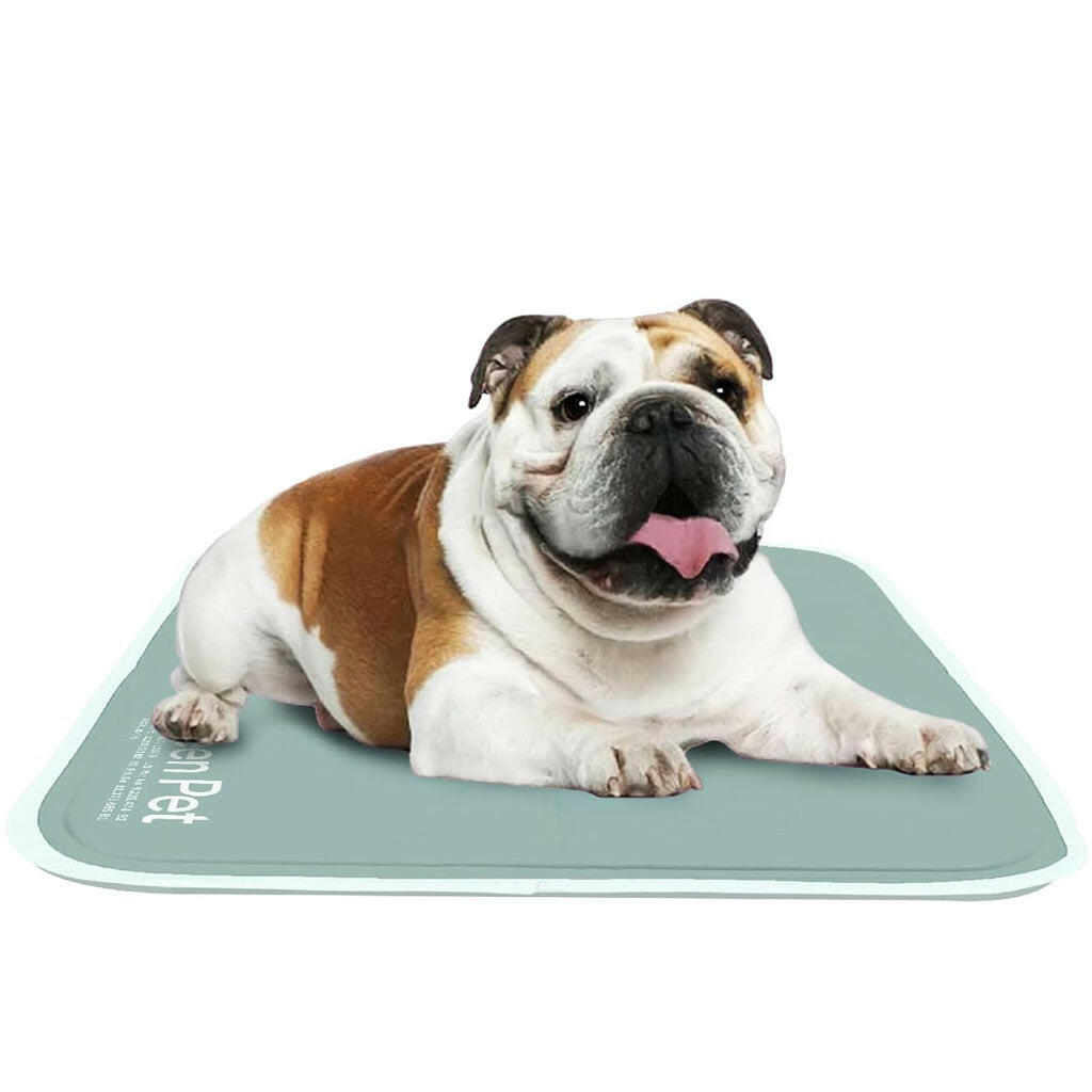 Green Pet Cool Pet Pad gray md dog