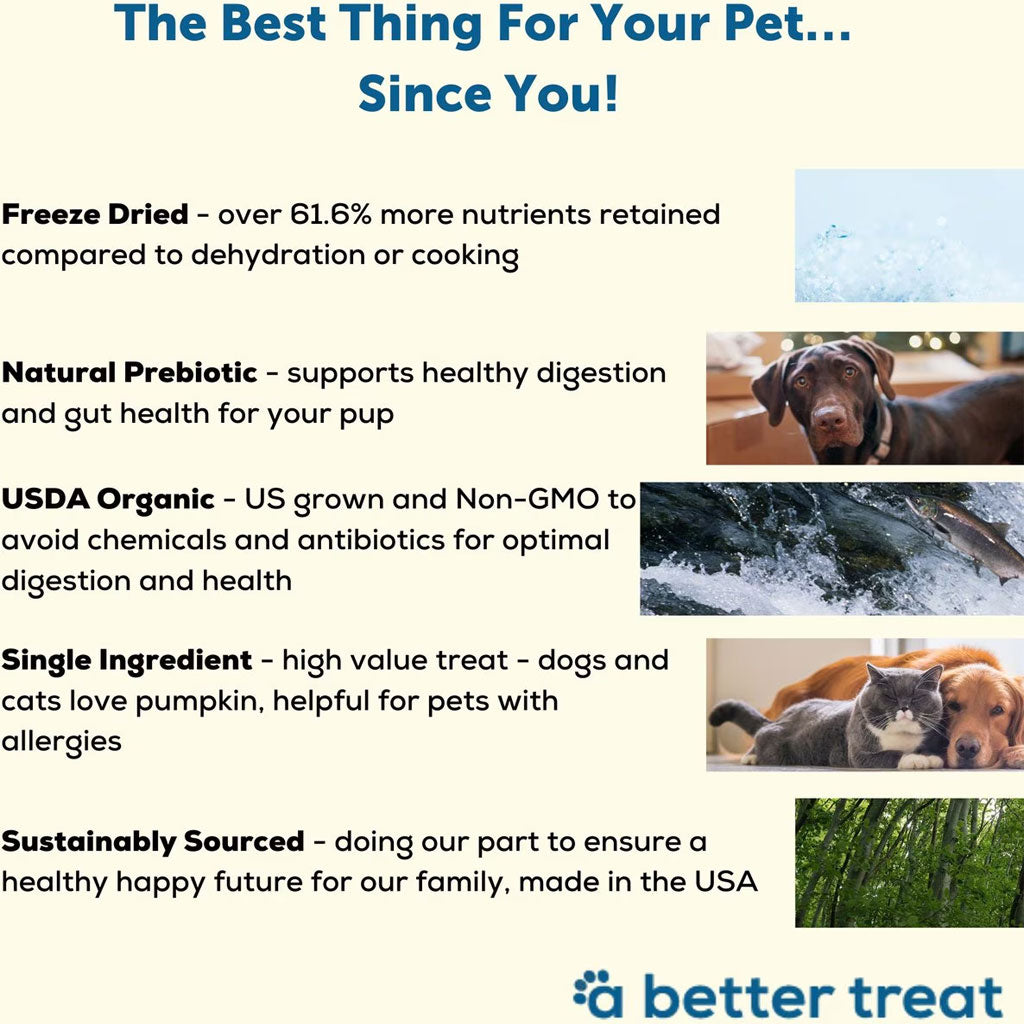 A Better Treat Organic Pumpkin Freeze Dried Treats for Dogs & Cats