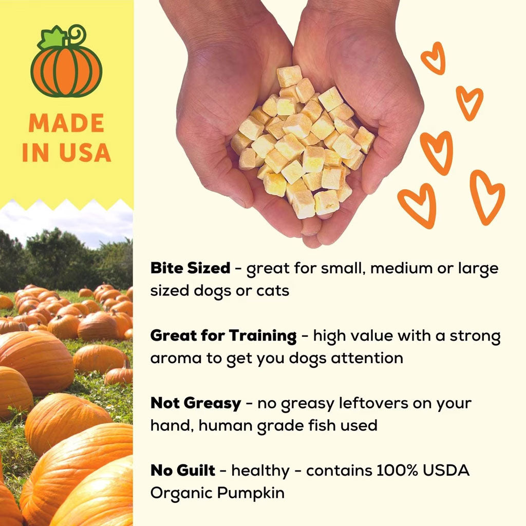 A Better Treat Organic Pumpkin Freeze Dried Treats for Dogs & Cats