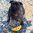 Spot Fun Food Plush Dog Toy Taco Multi-Color, Small