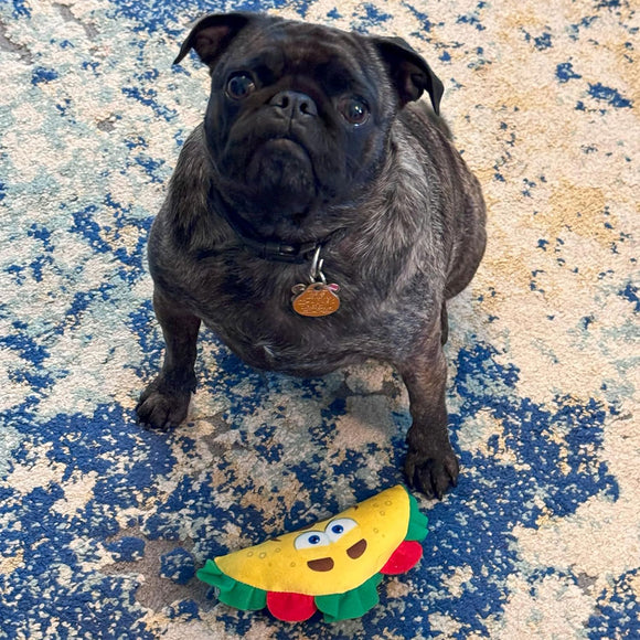 Spot Fun Food Plush Dog Toy Taco Multi-Color, Small