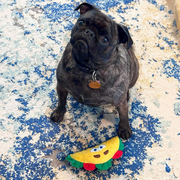 Spot Fun Food Plush Dog Toy Taco Multi-Color, Small