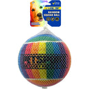 Petsport USA Rainbow Squeak Ball Dog Toy 4 inch