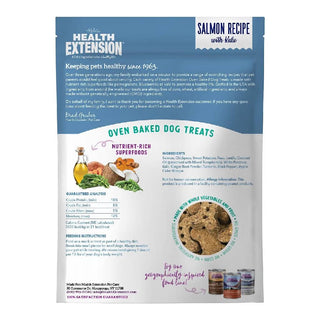Health Extension Grain Free Salmon & Kale Dog Treats (6 oz)