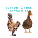 Manna Pro Bug Buffet Treats for Chickens (30 oz)