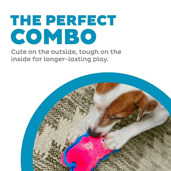 Outward Hound Invincible Minis Squeaky Pig Pink Dog Toy (Extra Small)