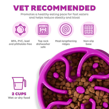 Outward Hound Fun Feeder Slo Bow Slow Feeder Dog Bowl, Purple Flower - 0