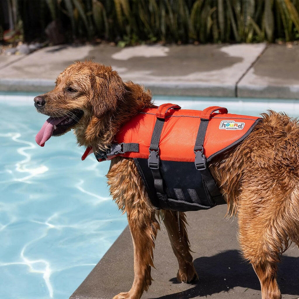 Outward Hound PupSaver Ripstop Life Jacket Orange For Dog (Medium)