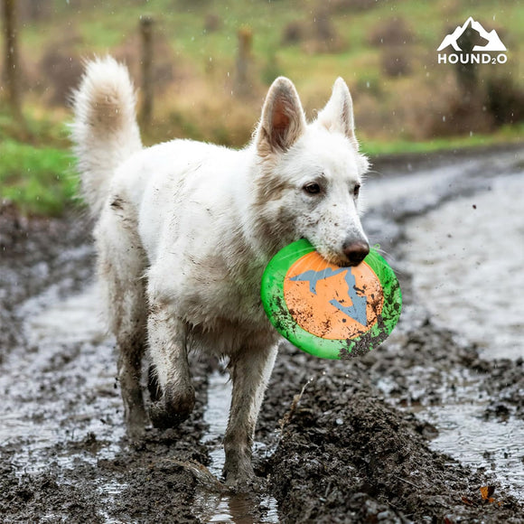White dog with a green and orange frisbee in a muddy outdoor setting, Hound.O brand visible.