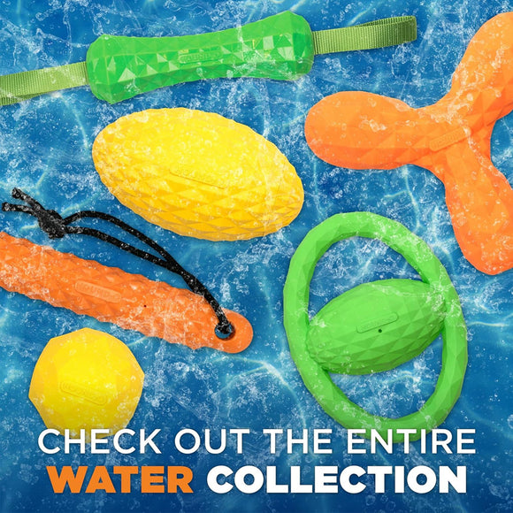 Colorful dog toys on a blue water background with text to check out the entire water collection.