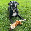 Ethical Pet Skinneeez Big Bite Jackal Stuffing-Free Plush Dog Toy (19.5")-4