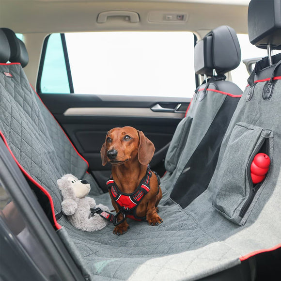 Dog in a car with a harness, sitting on a gray car seat cover with red accents.