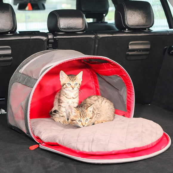 Two kittens inside a pet carrier in a car.