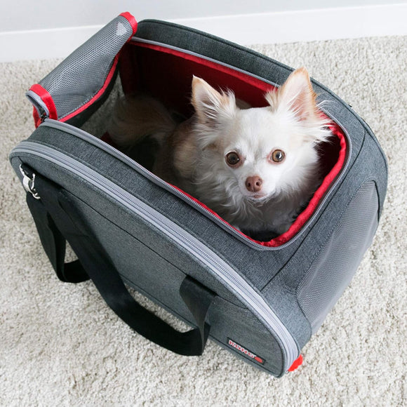 Small white dog peeking out from a gray pet carrier with red interior on a light carpet.