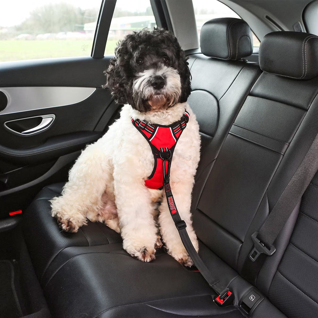 KONG Seat Belt Tether | Keep Your Dog Safe During Car Rides