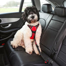 Dog wearing a red harness sitting in the back seat of a car.