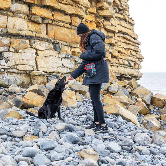Person with a dog on a rocky beach near stone cliffs
