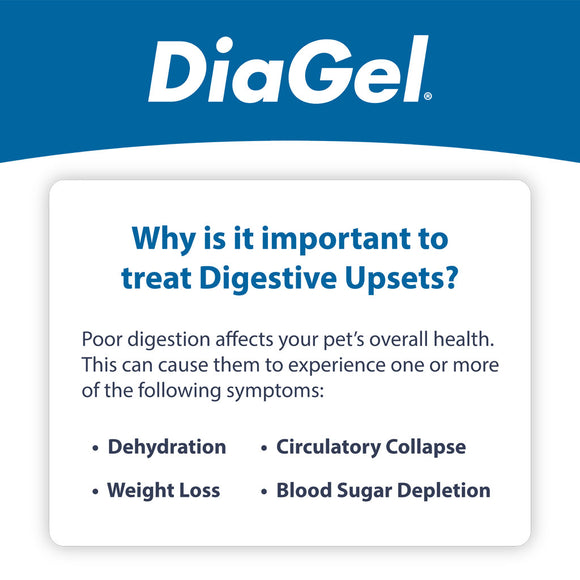 DiaGel Anti-Diarrheal Gel for Small Dogs (1 ml)