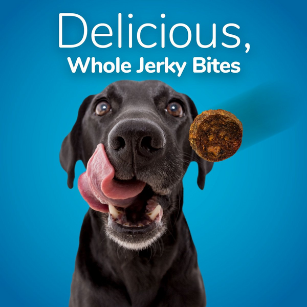 Fruitables Whole Jerky Bites Chicken & Sweet Potato Treats For Dogs (5 oz)