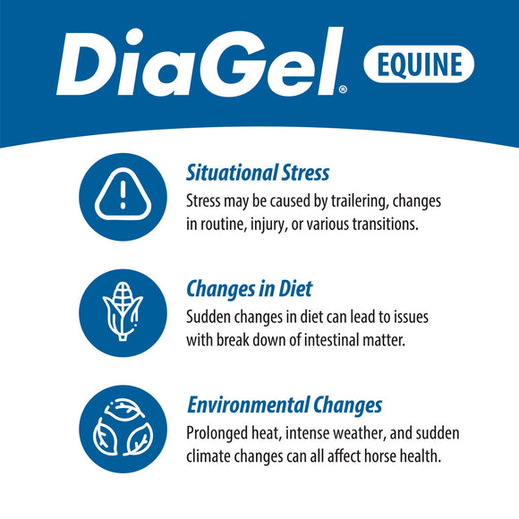 DiaGel Anti-Diarrheal Gel for Horses (30 ml)