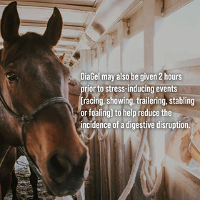 DiaGel Anti-Diarrheal Gel for Horses (30 ml) - 0