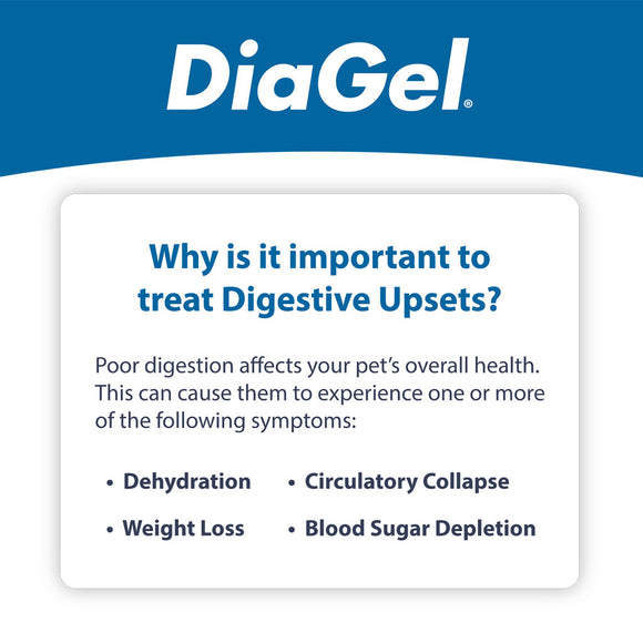 DiaGel Anti-Diarrheal Gel for Horses (30 ml)