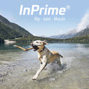 InPrime - Natural Joint Support for Dogs - Helps Maintain Normal Joint Mobility &Function - Supports Hip and Joint for Dogs - Palatable Dog Joint Care - (60 Count)-5