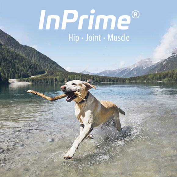 InPrime - Natural Joint Support for Dogs - Helps Maintain Normal Joint Mobility &Function - Supports Hip and Joint for Dogs - Palatable Dog Joint Care - (60 Count)