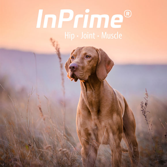 InPrime - Natural Joint Support for Dogs - Helps Maintain Normal Joint Mobility &Function - Supports Hip and Joint for Dogs - Palatable Dog Joint Care - (60 Count)