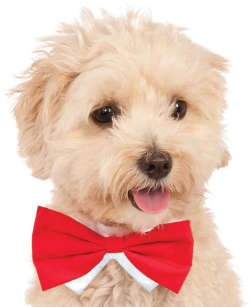 Buy red Pets Bow Tie Costume - Various Colors