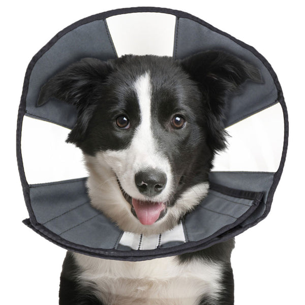 ZenPet ZenCone Soft Recovery Collar for Dogs & Cats large dog