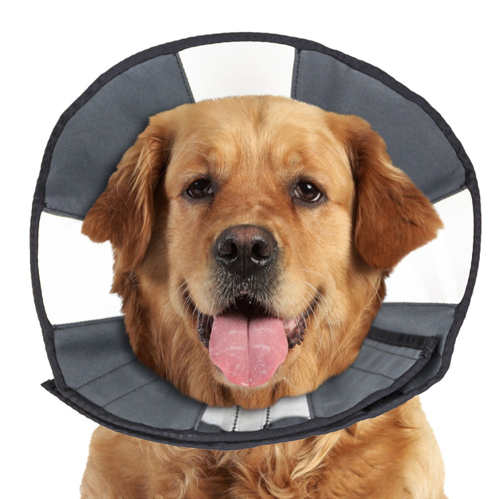 ZenPet ZenCone Soft Recovery Collar for Dogs & Cats xlarge dog