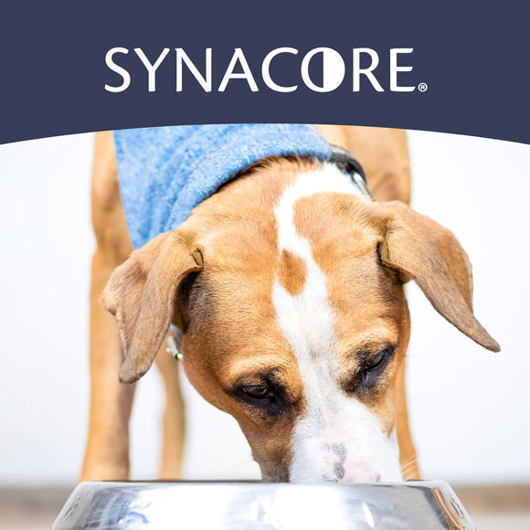 Synacore Dog - Natural Formula to Provide Immune Support for Dogs & Help MaintainDigestive Health - Probiotics and Vitamins for Dogs - Pet Products - (30 Count)
