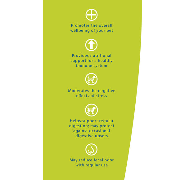 Synacore Dog - Natural Formula to Provide Immune Support for Dogs & Help MaintainDigestive Health - Probiotics and Vitamins for Dogs - Pet Products - (30 Count)