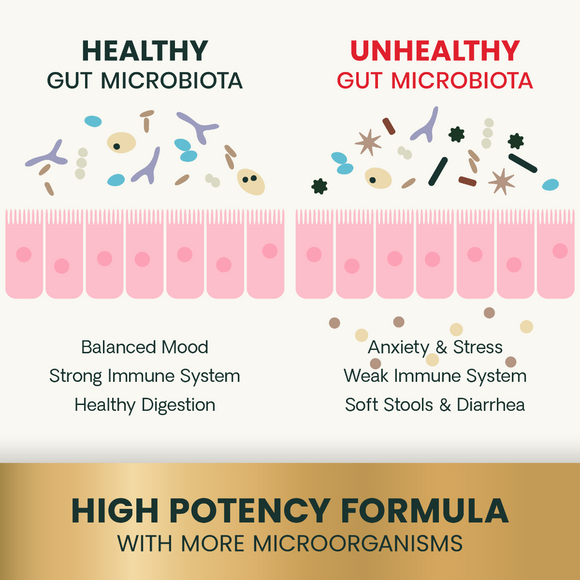 VetriScience Probiotic Everyday Gut Health Supplement for Cats (60 chews)