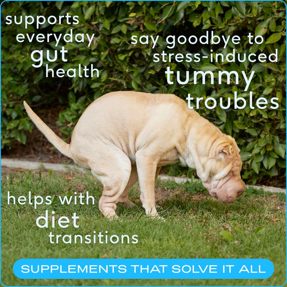 Native Pet Probiotic & Prebiotic Powder for Dogs