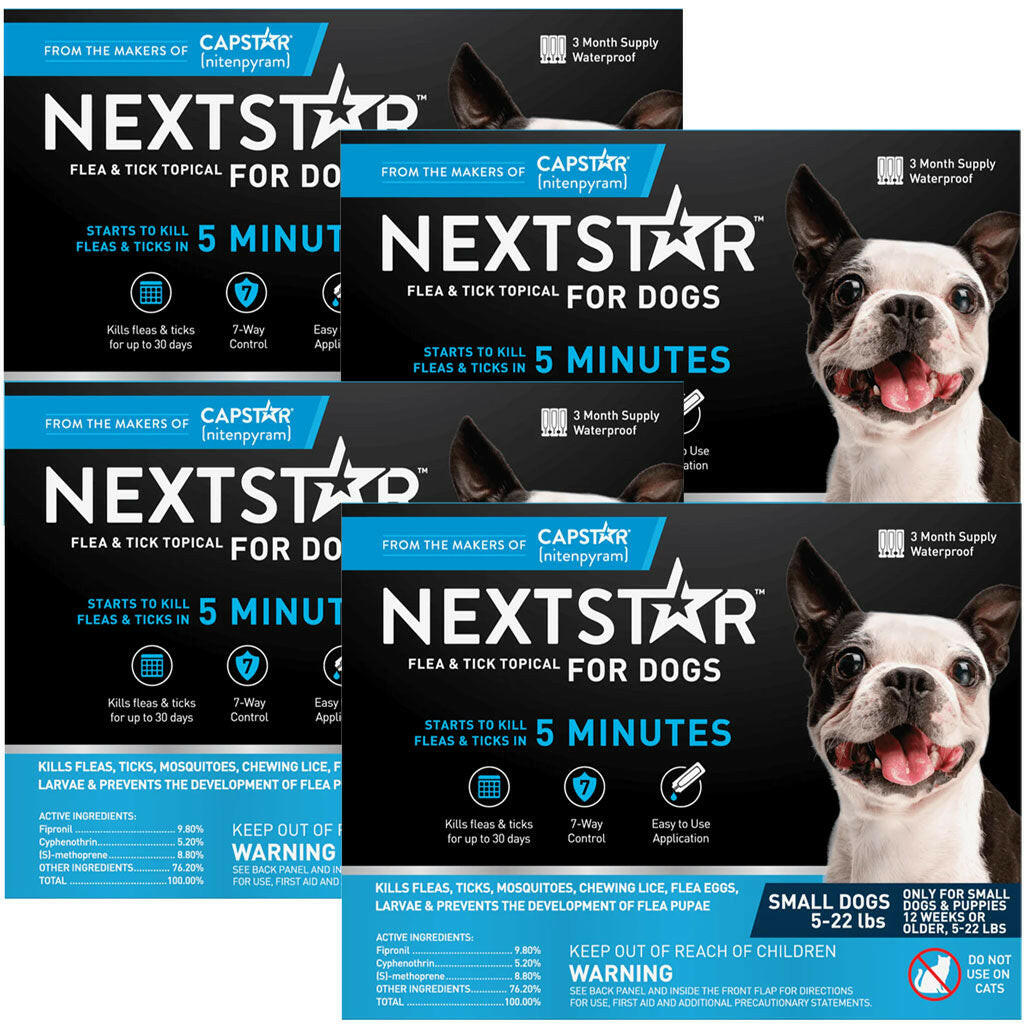 nextstar dogs