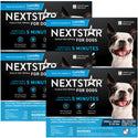 nextstar dogs