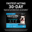 nextstar for small dogs
