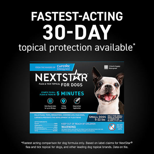 nextstar for small dogs