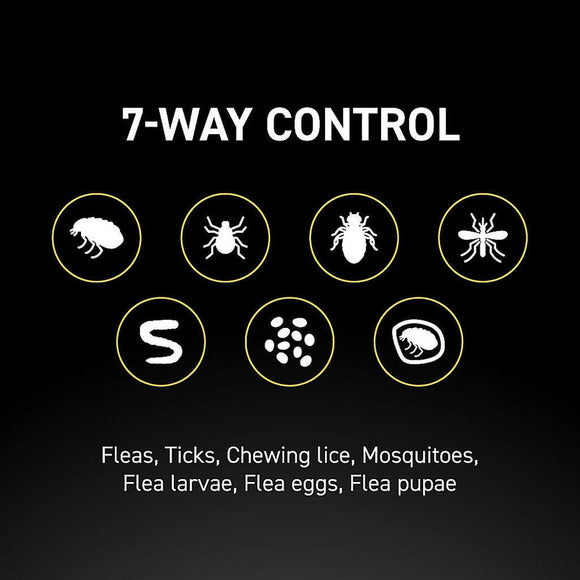 nextstar flea and tick for dogs