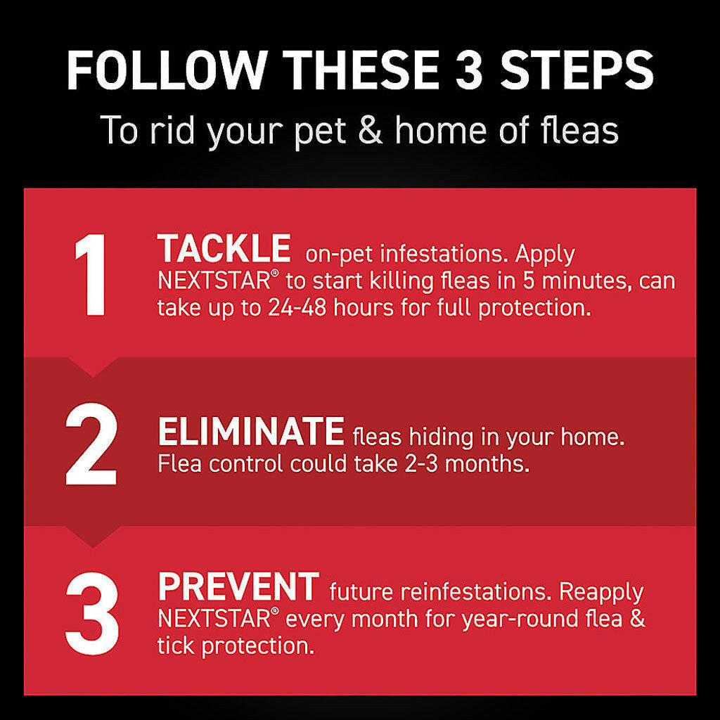 nextstar dog flea treatment