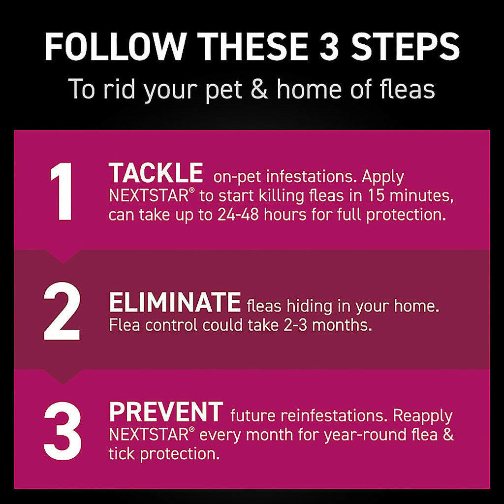 nextstar flea and tick