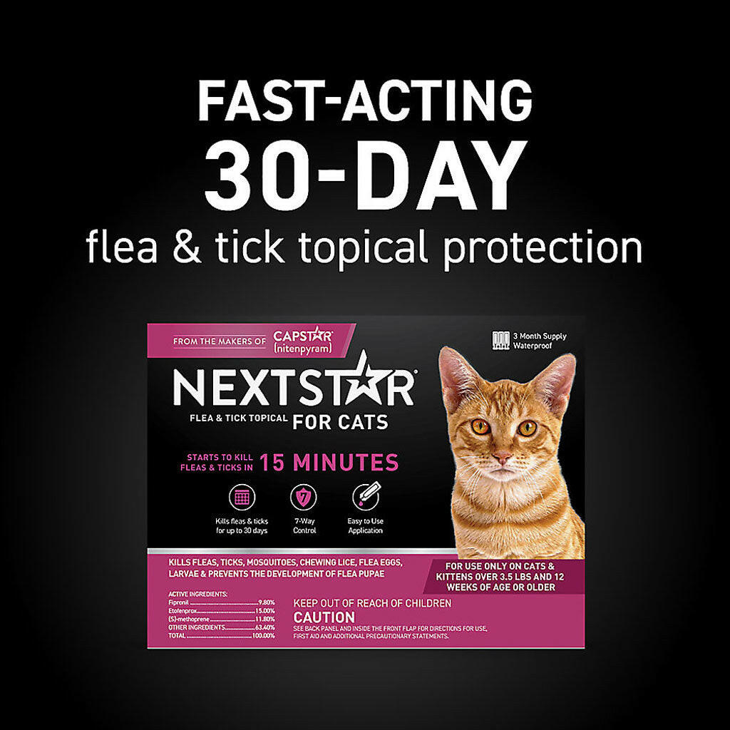 nextstar flea