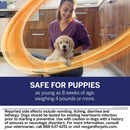 NexGard PLUS Chews for Small Dogs 4-8 lbs (Orange Box)-7