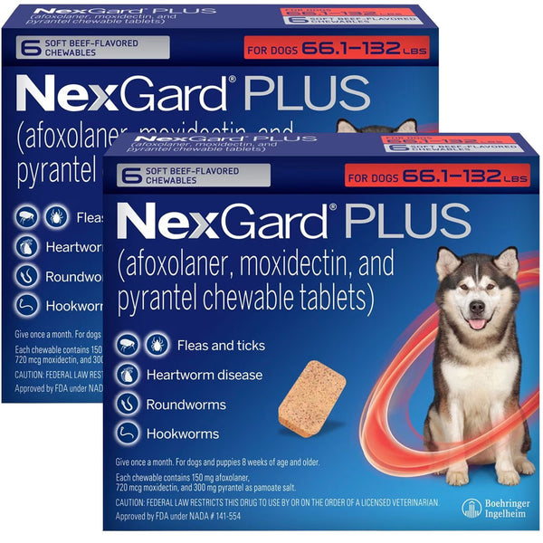 NexGard PLUS Chews for Dogs 66.1-132 lbs 12 chews