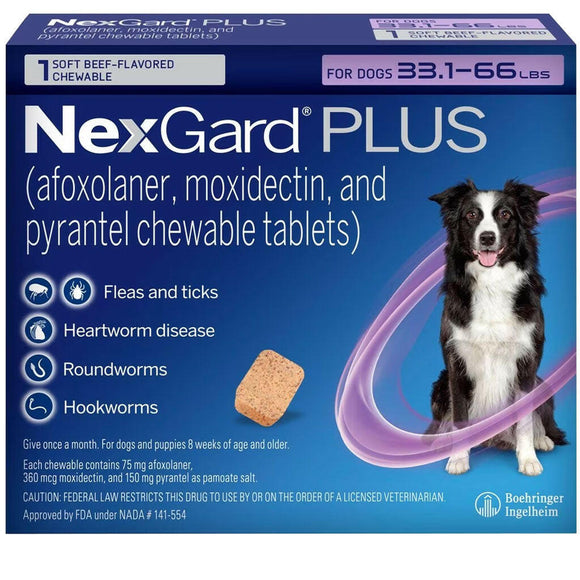 NexGard PLUS Chews for Dogs 33.1–66 lbs (Purple Box)