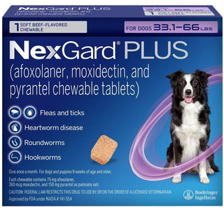 NexGard PLUS Chews for Dogs 33.1-66 lbs