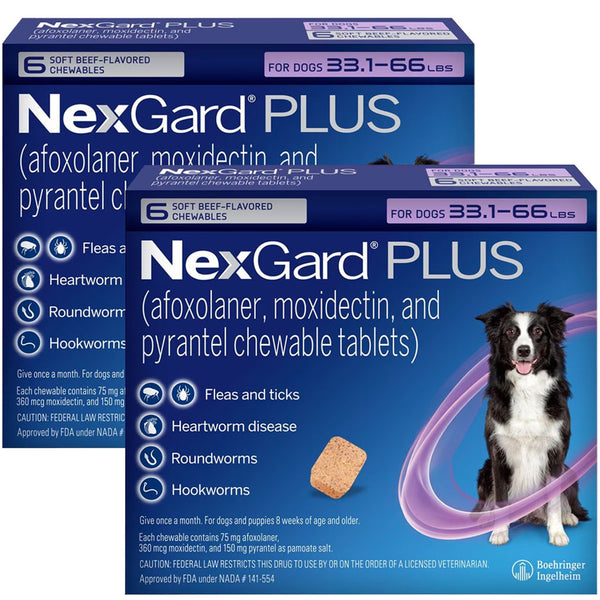 NexGard PLUS Chews for Dogs 33.1-66 lbs 12 chews